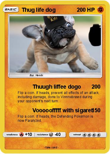 Pokemon Thug life dog