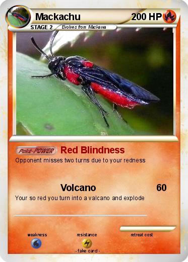 Pokemon Mackachu