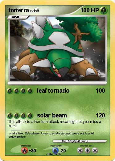 Pokemon torterra