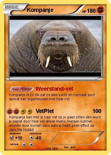 Pokemon Kompanje