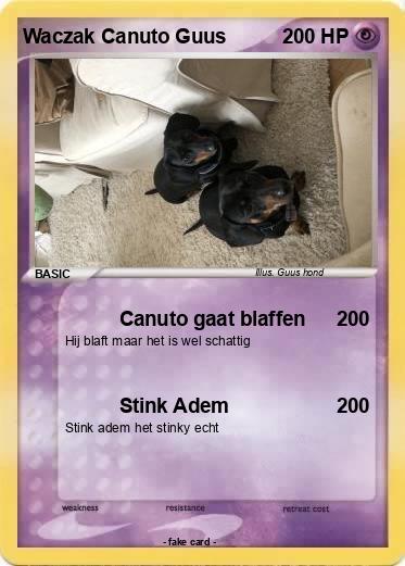 Pokemon Waczak Canuto Guus