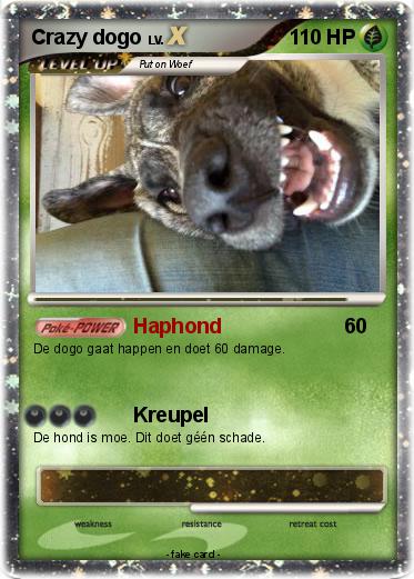 Pokemon Crazy dogo