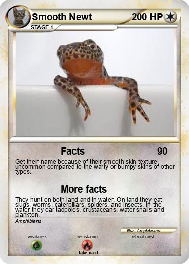 Pokemon Smooth Newt