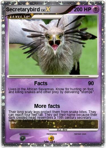 Pokemon Secretarybird