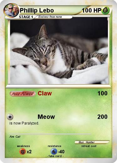 Pokemon Phillip Lebo