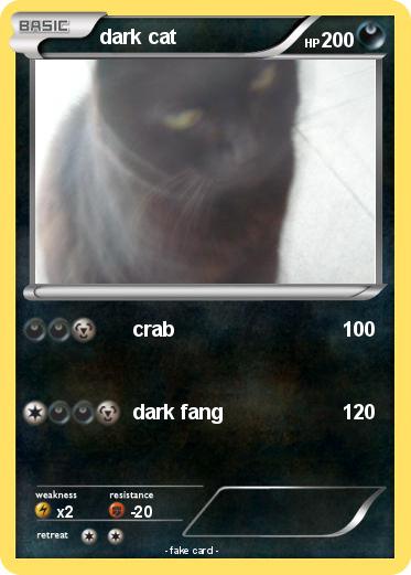 Pokemon dark cat