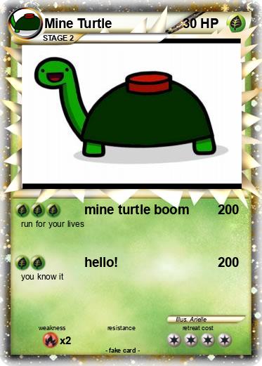 Pokemon Mine Turtle