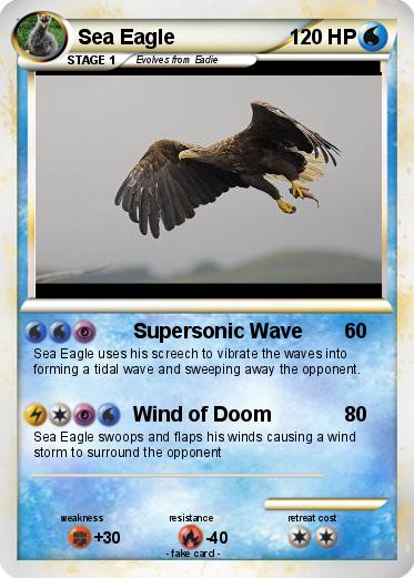 Pokemon Sea Eagle