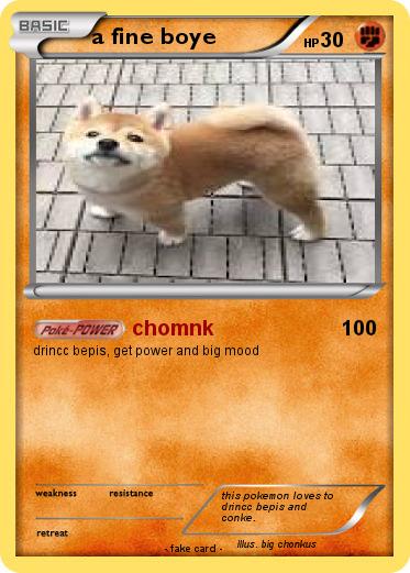 Pokemon a fine boye