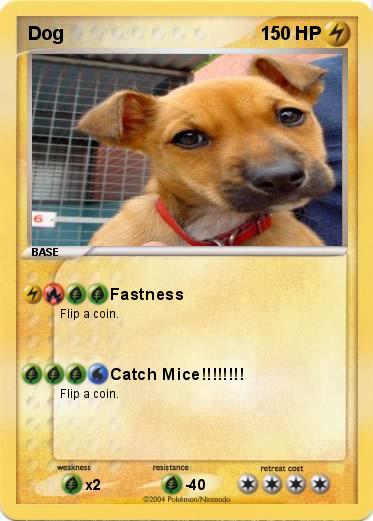 Pokemon Dog