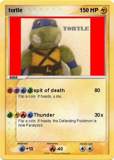 Pokemon tortle