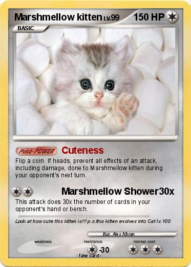 Pokemon Marshmellow kitten