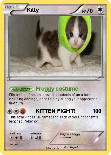 Pokemon Kitty