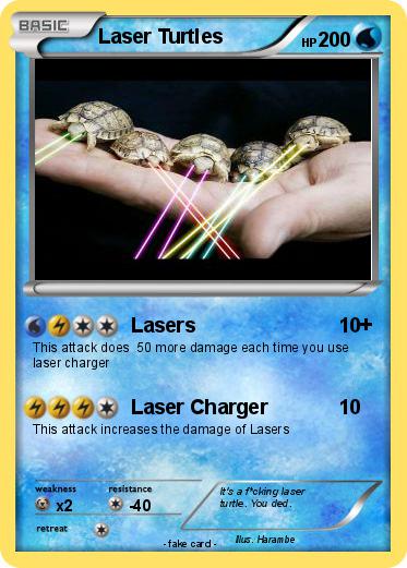 Pokemon Laser Turtles