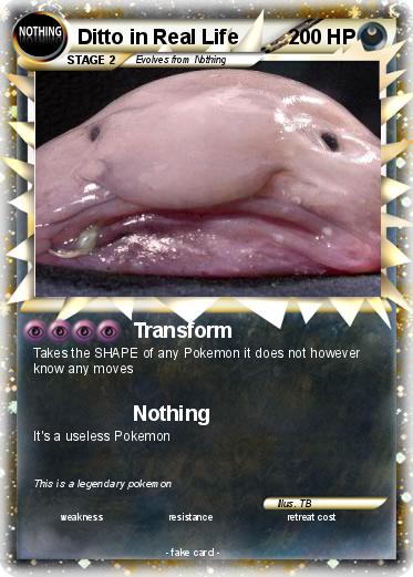 Pokemon Ditto in Real Life