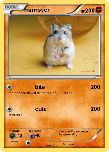 Pokemon hamster