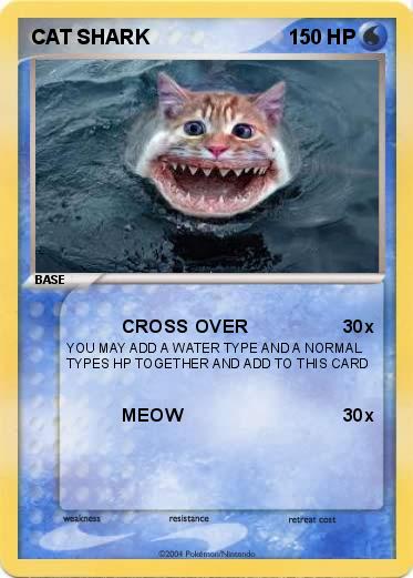 Pokemon CAT SHARK