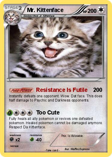 Pokemon Mr. Kittenface
