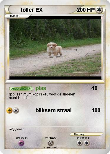 Pokemon toller EX