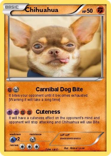 Pokemon Chihuahua