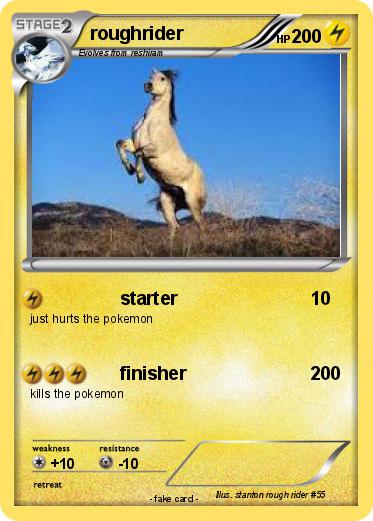 Pokemon roughrider