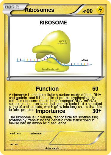 Pokemon Ribosomes