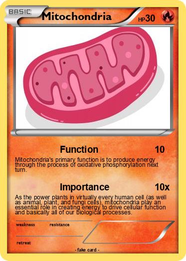 Pokemon Mitochondria