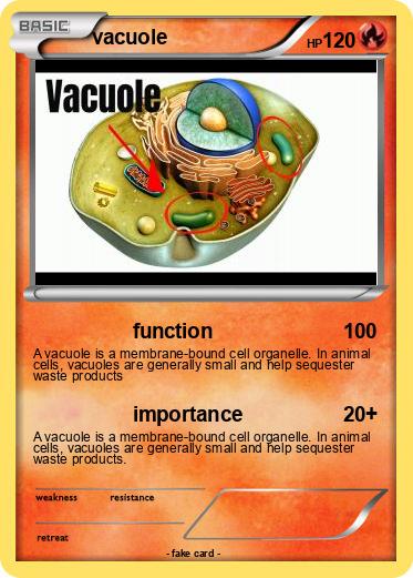 Pokemon vacuole