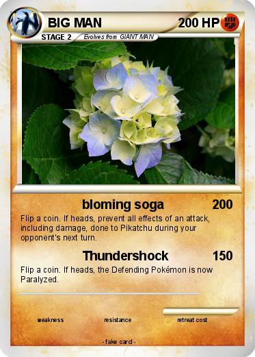 Pokemon BIG MAN