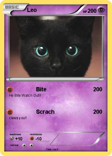 Pokemon Leo