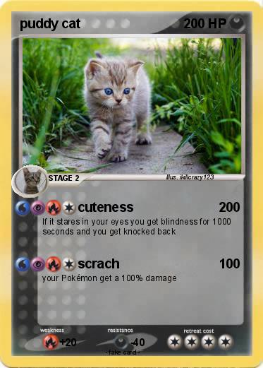 Pokemon puddy cat