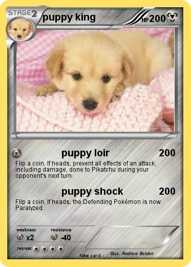 Pokemon puppy king