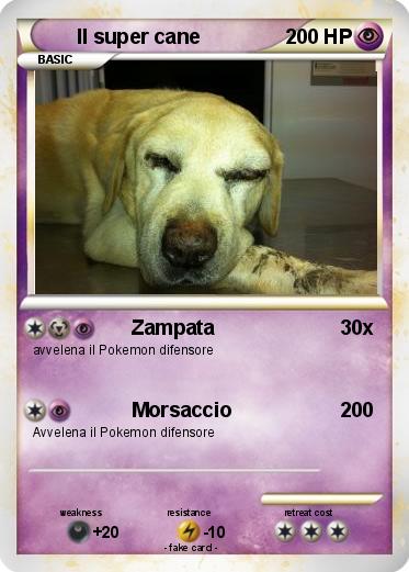 Pokemon Il super cane