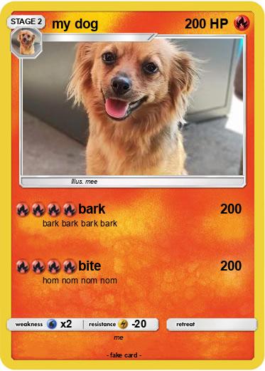 Pokemon my dog