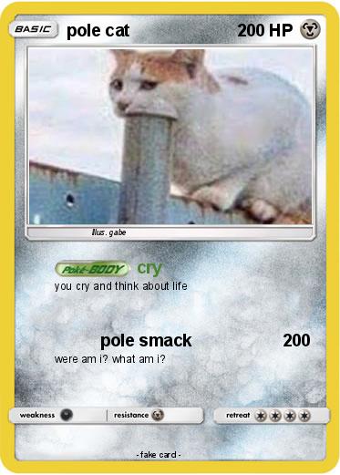 Pokemon pole cat