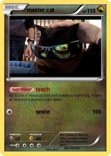 Pokemon master cat
