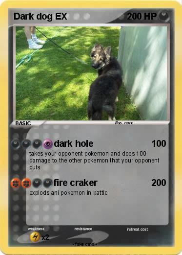 Pokemon Dark dog EX