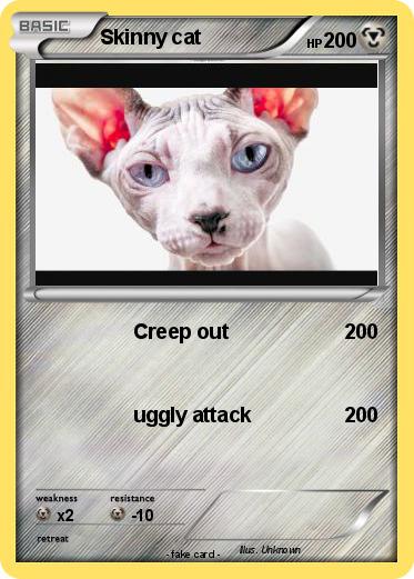 Pokemon Skinny cat