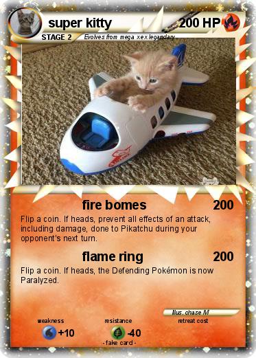 Pokemon super kitty