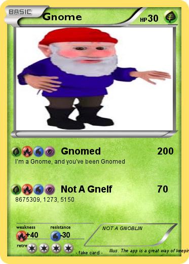 Pokemon Gnome