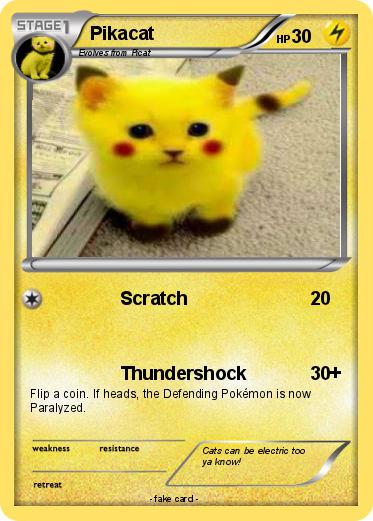 Pokemon Pikacat