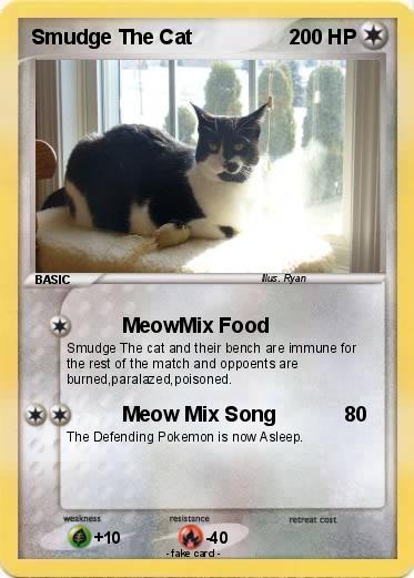 Pokemon Smudge The Cat