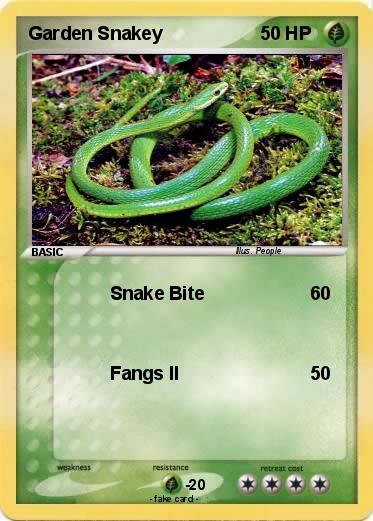 Pokemon Garden Snakey