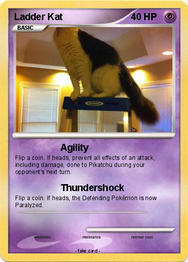 Pokemon Ladder Kat