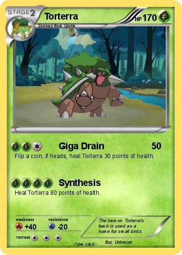 Pokemon Torterra