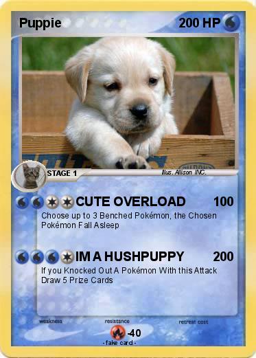 Pokemon Puppie