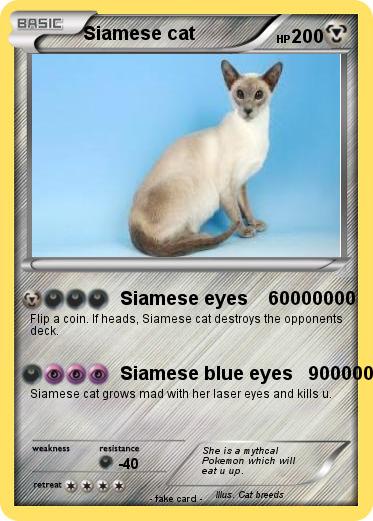 Pokemon Siamese cat