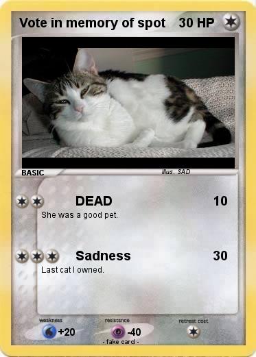 Pokemon Vote in memory of spot