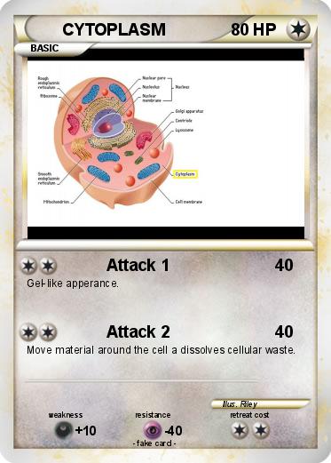 Pokemon CYTOPLASM