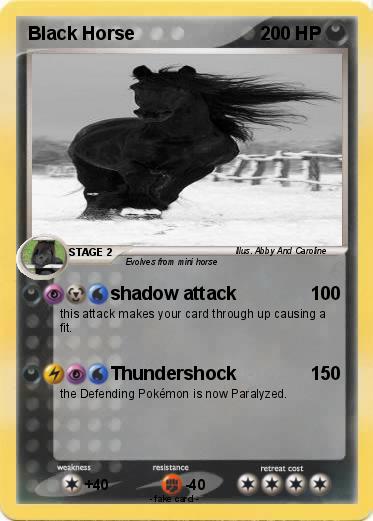 Pokemon Black Horse